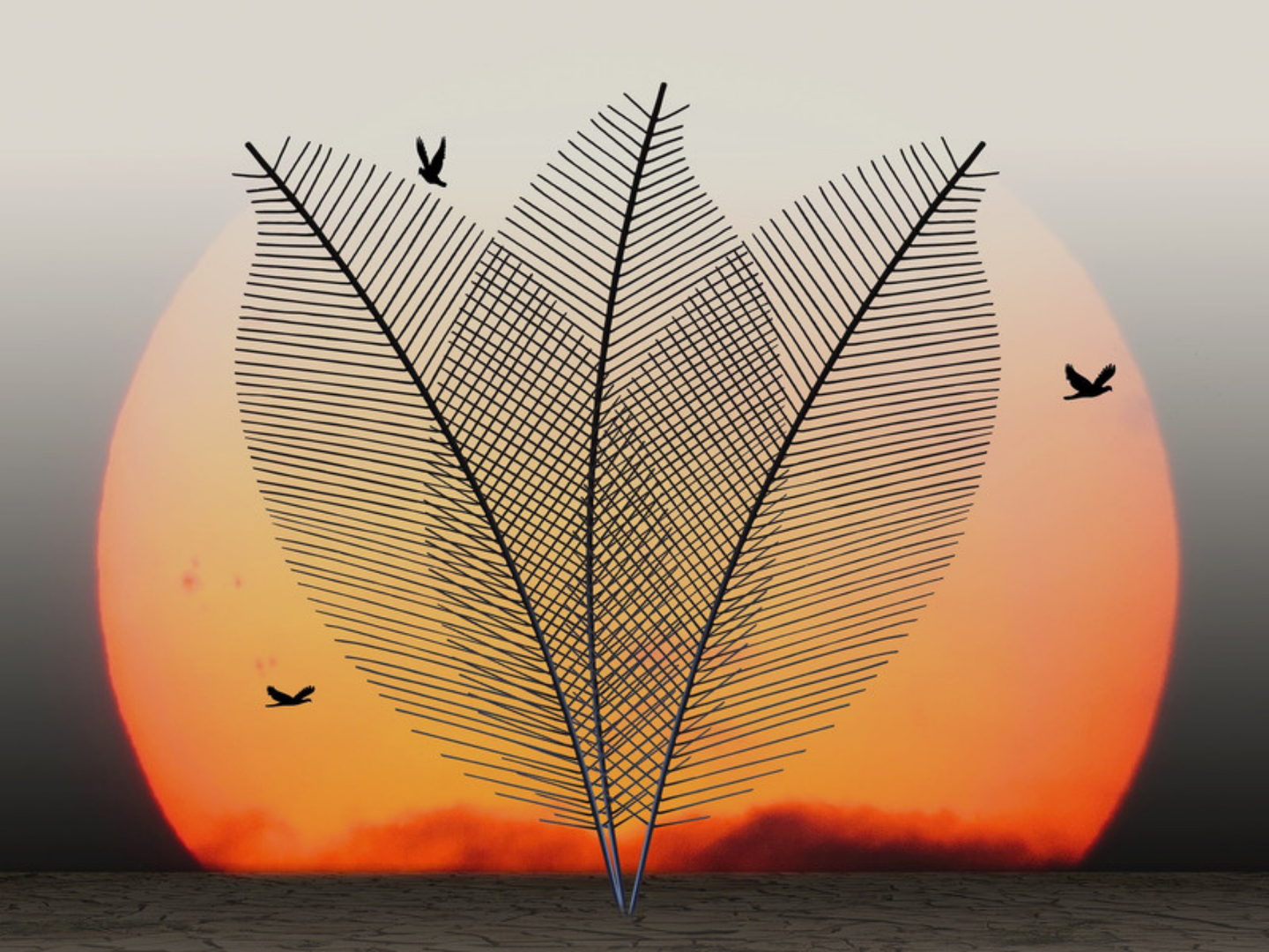 Gewaltfreie Kommunikation